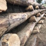 CANTIERE CAMPO – GALLICANO (LU) (4)